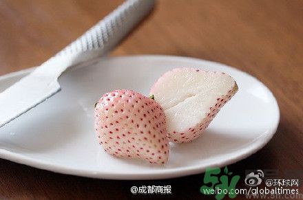 菠蘿莓好吃嗎？菠蘿莓好不好吃？