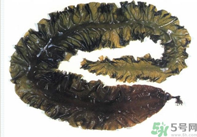 海帶用冷水泡還是熱水泡發(fā)？海帶怎么泡才不會發(fā)硬？