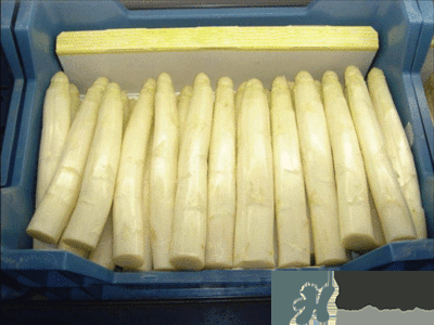 吃蘆筍注意事項有哪些？蘆筍有什么藥用功效？