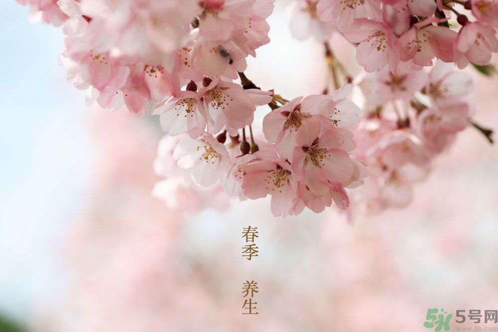 女性春季養(yǎng)生吃什么？女性春季怎么養(yǎng)生？