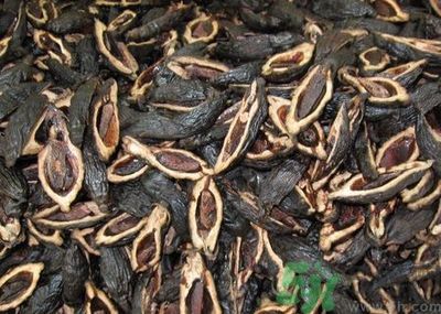 吃檳榔會(huì)致癌嗎？吃檳榔好不好？