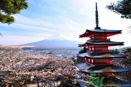 中國(guó)人赴日或免簽是怎么回事？日本有什么好玩的地方？