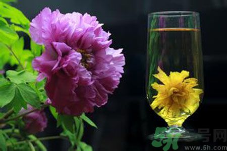牡丹花可以和菊花一起泡嗎？牡丹花和菊花一起泡茶好嗎？