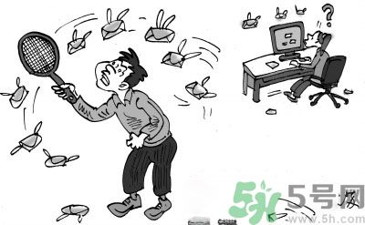 1分鐘被騙334萬(wàn) 釣魚(yú)郵件內(nèi)容是什么？