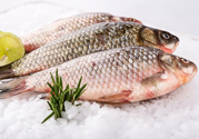 牛奶過(guò)期了還能怎么利用？牛奶能去魚腥味嗎？