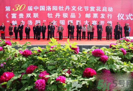 洛陽牡丹文化節(jié)活動有哪些？洛陽牡丹文化節(jié)門票是多少？