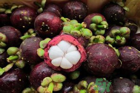 山竹可以和牛奶一起吃嗎？山竹和牛奶一起吃好嗎？