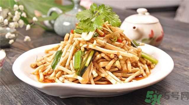魚腥草可以止咳嗎？魚腥草止咳的辦法有哪些？