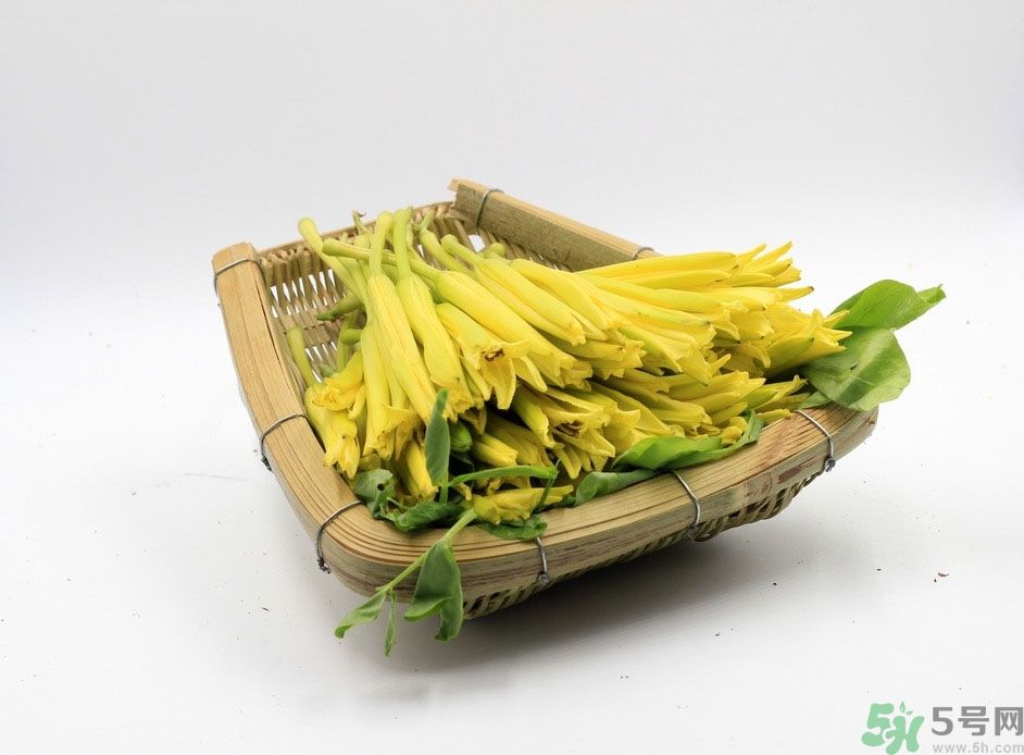 黃花菜可以治療抑郁癥嗎？兩噸黃花菜治好了抑郁癥是真的嗎？