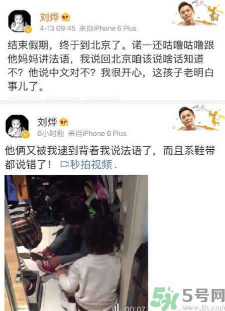 諾一雪梨是誰？為什么叫諾一雪梨？