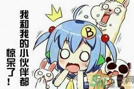 自創(chuàng)職業(yè)逗悶師是做什么的？自創(chuàng)職業(yè)逗悶師工資多少？