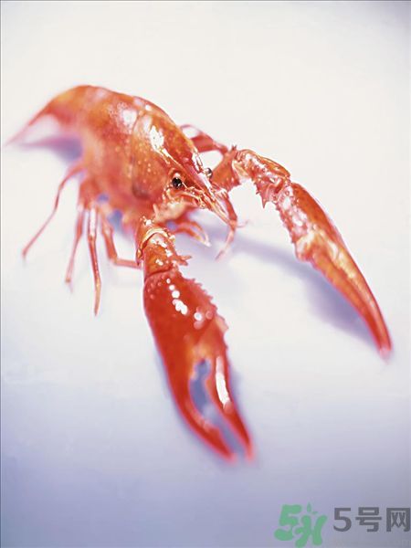 油燜大蝦為什么肉散了？油燜大蝦怎么做肉不散？