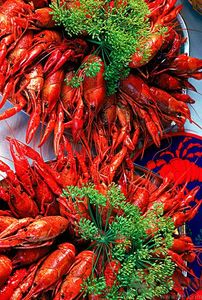 油燜大蝦用的是什么蝦？油燜大蝦用什么蝦最好？