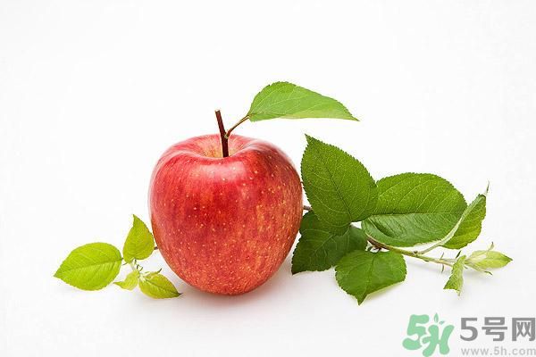晚上9點以后可以吃蘋果嗎？晚上吃蘋果好不好？