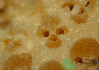 經(jīng)常用一次性筷子可以嗎？一次性筷子有病毒嗎？