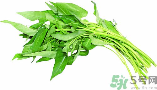 空心菜和雞能一起吃嗎？空心菜怎么吃有營養(yǎng)？