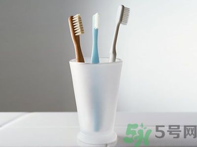 牙齦出血要換牙刷嗎？牙刷多久換一次好？