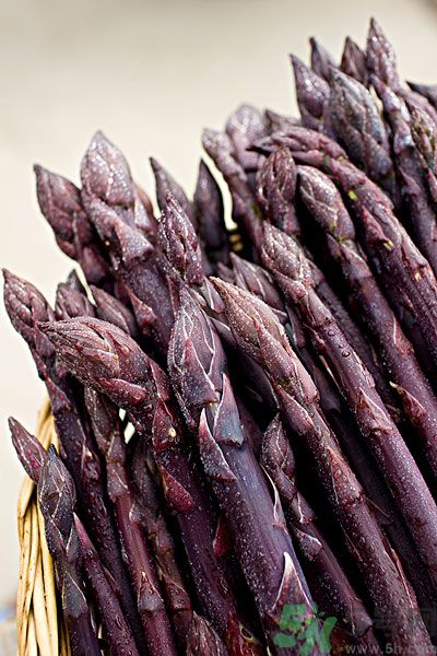 紫蘆筍是轉(zhuǎn)基因嗎？紫蘆筍和綠蘆筍哪個好？