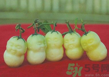 人參果怎么吃？人參果的營養(yǎng)價值有哪些？