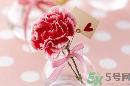 母親節(jié)送什么顏色的康乃馨？母親節(jié)應(yīng)該買什么顏色的康乃馨？