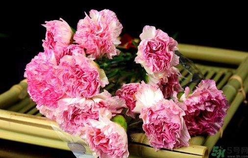 母親節(jié)送什么花好？母親節(jié)應該送什么鮮花？