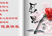 母親節(jié)送什么花好？母親節(jié)應(yīng)該送什么鮮花？