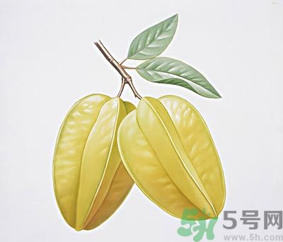 楊桃和什么不能一起吃？楊桃不能與什么同食？