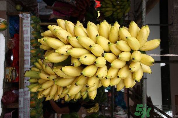 孕婦可以吃牛奶蕉嗎？孕婦吃牛奶蕉好嗎？