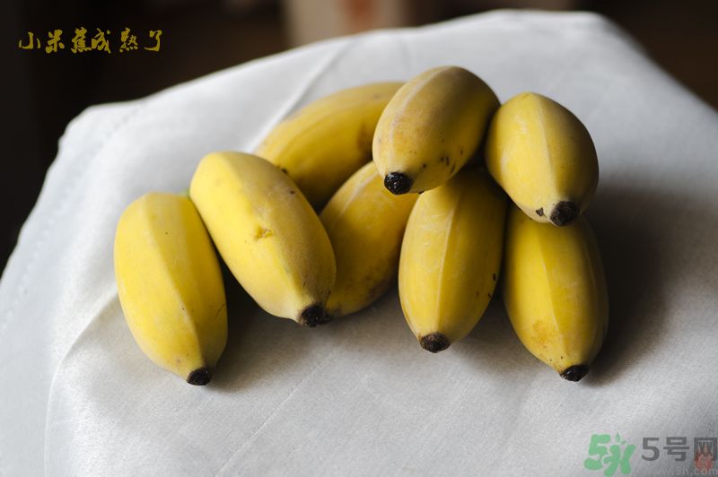 牛奶蕉可以和蘋果一起吃嗎？牛奶蕉和蘋果一起吃好嗎？