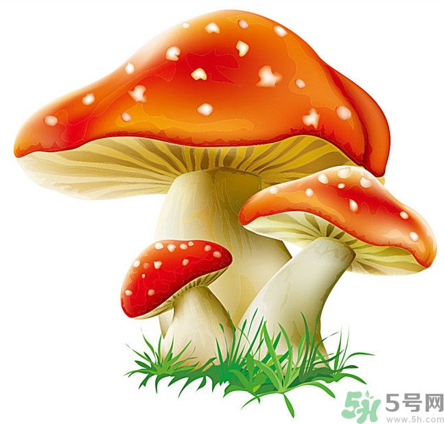 吃蘑菇可以喝酒嗎？吃蘑菇喝酒會中毒嗎？