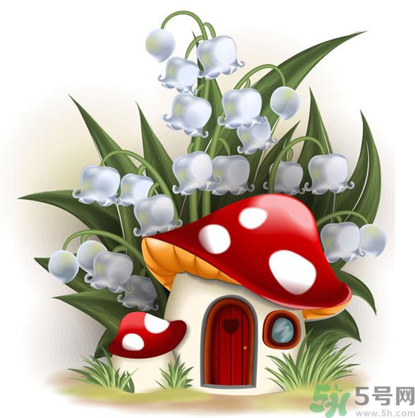 吃蘑菇可以喝酒嗎？吃蘑菇喝酒會中毒嗎？