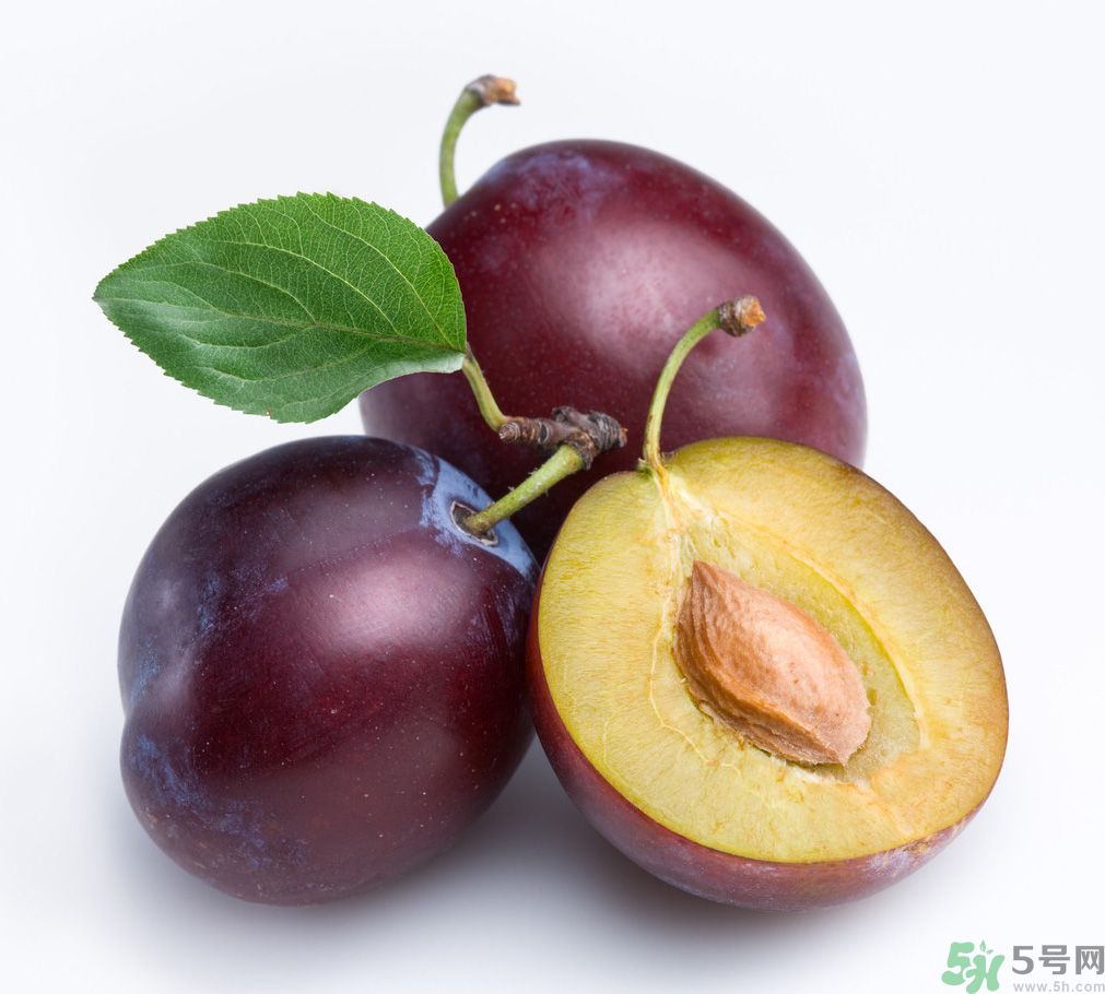 李子是熱性還是涼性？李子是涼性的嗎？