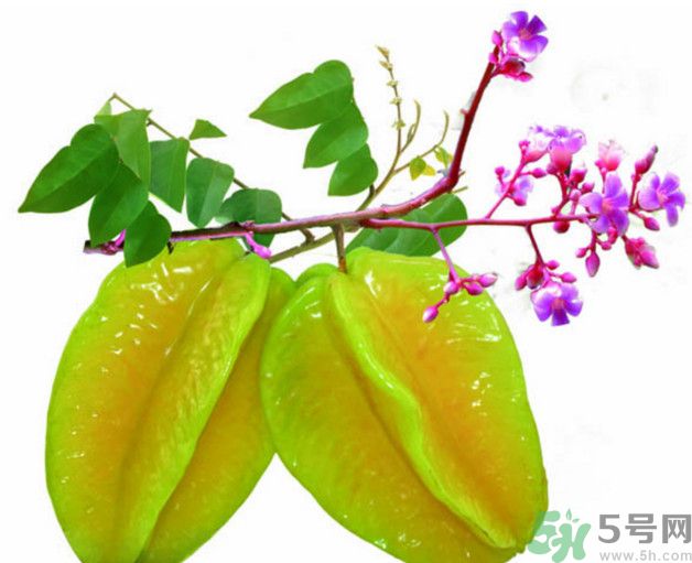 慢性腎炎可以吃楊桃嗎？慢性腎炎吃楊桃好嗎？