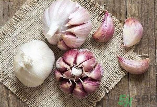 提高記憶力要吃什么食物？吃什么食物提高記憶力？