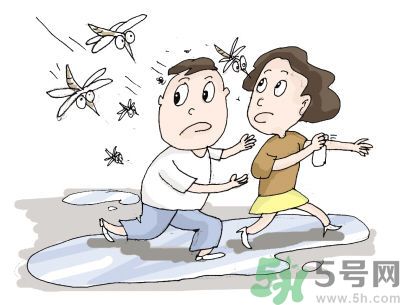 被蚊子咬很癢怎么辦？被蚊子咬要怎么止癢？