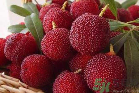 楊梅是不是發(fā)物？楊梅是發(fā)物嗎？