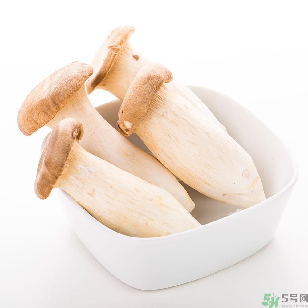 吃杏鮑菇有什么好處？吃杏鮑菇對身體好嗎？