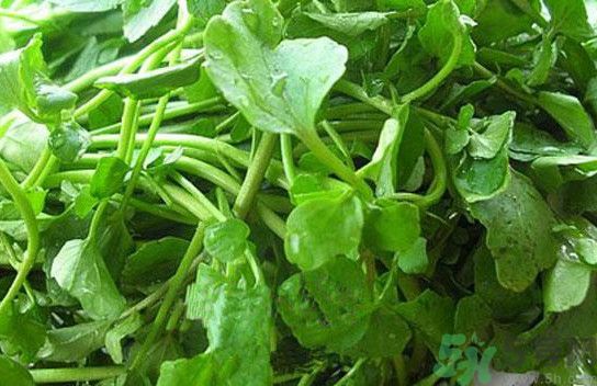 水腫能吃茄子嗎？茄子能消水腫嗎？