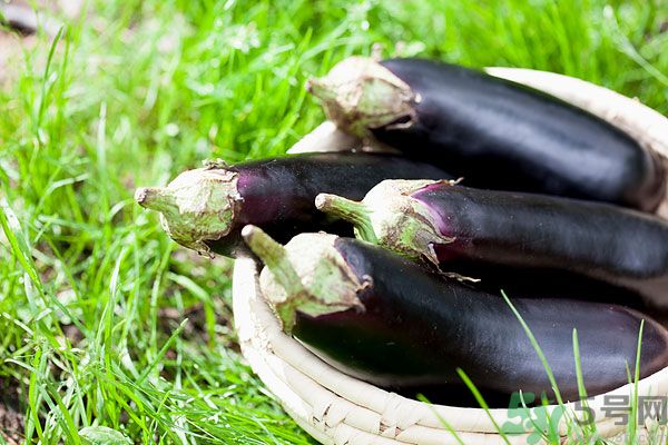 水腫能吃茄子嗎？茄子能消水腫嗎？