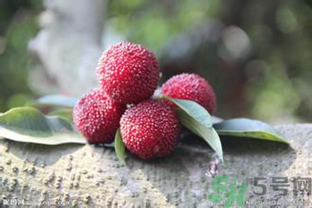 吃楊梅會上火嗎？吃楊梅上火怎么辦？