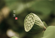 夏至有什么習(xí)俗？夏至吃什么傳統(tǒng)食物？