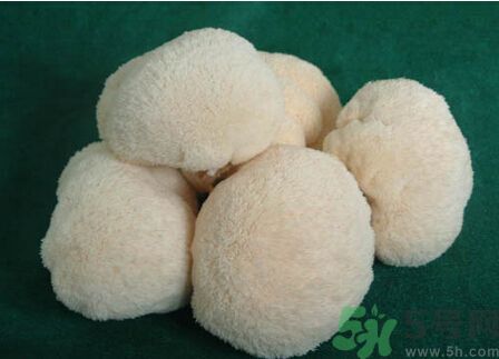 吃猴頭菇有什么好處？猴頭菇有什么營(yíng)養(yǎng)價(jià)值？