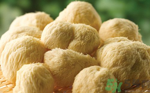 吃猴頭菇有什么好處？猴頭菇有什么營(yíng)養(yǎng)價(jià)值？
