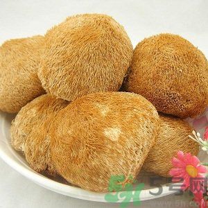 吃猴頭菇有什么好處？猴頭菇有什么營(yíng)養(yǎng)價(jià)值？