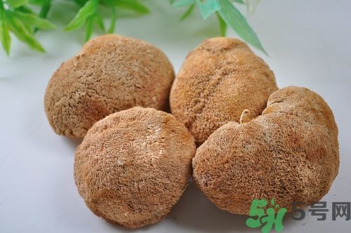 猴頭菇粉怎么做？猴頭菇餅干怎么做？
