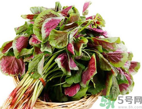 補血吃什么蔬菜好？吃什么蔬菜可以補血？