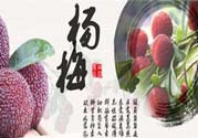 喉嚨痛可以吃楊梅嗎？喉嚨痛吃楊梅好嗎？