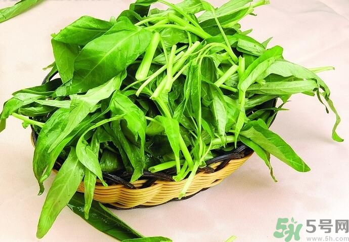 空心菜有什么功效？空心菜的功效是什么？