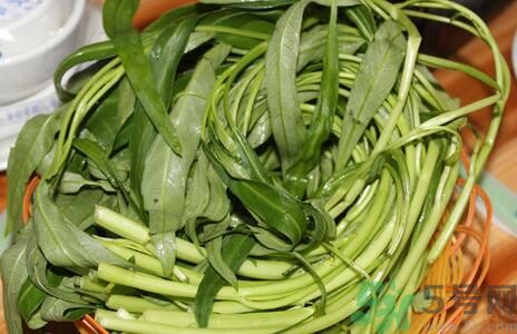 空心菜吃葉子還是吃桿？空心菜吃葉子好嗎？