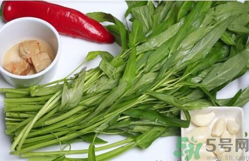 空心菜吃葉子還是吃桿？空心菜吃葉子好嗎？